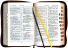 БИБЛИЯ (048 zti, код 2.1, черная, &quot;золотой лев&quot;)