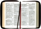 БИБЛИЯ (048z B)