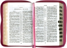 БИБЛИЯ (048DTzti D2)